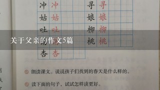 关于父亲的作文5篇