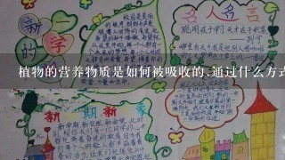 植物的营养物质是如何被吸收的,通过什么方式和途径