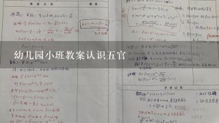 幼儿园小班教案认识五官