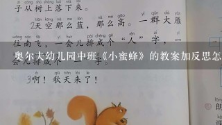 奥尔夫幼儿园中班《小蜜蜂》的教案加反思怎么写