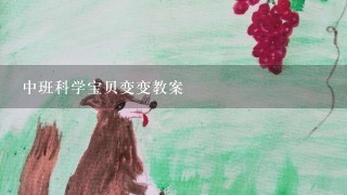 中班科学宝贝变变教案