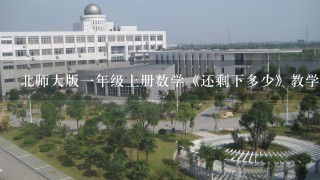 北师大版一年级上册数学《还剩下多少》教学设计