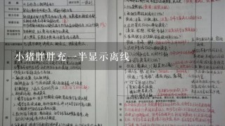 小猪胖胖充一半显示离线