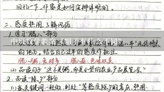 中班数学教案《帽子有什么不同》