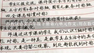 苏教版语文六年级下册第六单元作文:用在数学课上学到的统计方法写一件有意思的事。