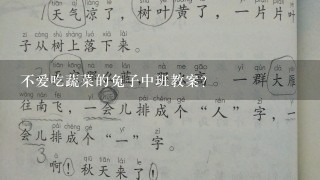 不爱吃蔬菜的兔子中班教案？