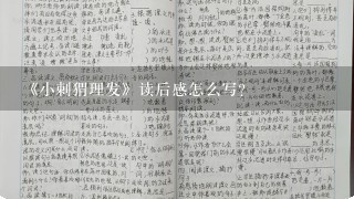 《小刺猬理发》读后感怎么写？