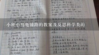 小班小乌龟铺路的教案及反思科学类的