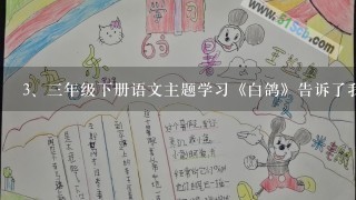 三年级下册语文主题学习《白鸽》告诉了我们一个什么