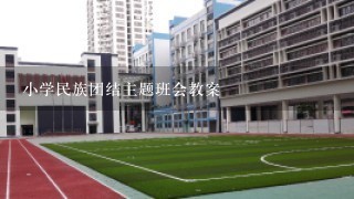 小学民族团结主题班会教案