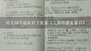 幼儿园学前班科学教案《人体的感觉器官》