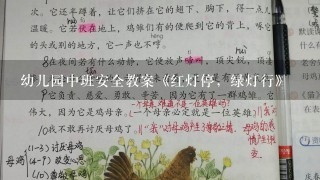 幼儿园中班安全教案《红灯停，绿灯行》