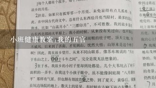 小班健康教案:我的五官