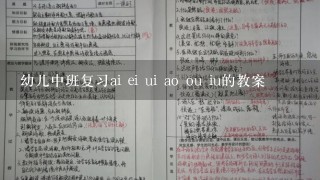 幼儿中班复习ai ei ui ao ou iu的教案