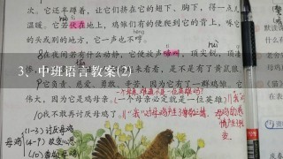 中班语言教案(2)