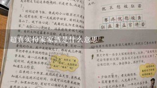 超真实扮家家酒是什么意思