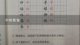 中班教案