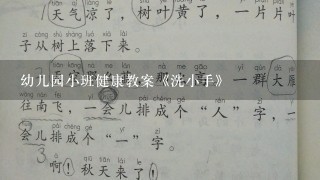 幼儿园小班健康教案《洗小手》