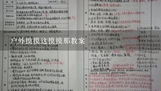 户外摸摸这摸摸那教案