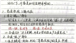 幼儿园中班数学活动《图形分类》教案