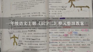 一年级语文上册《识字二》单元整组教案