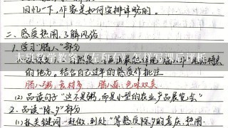 大班数学教案《左和右》怎样写课后评析