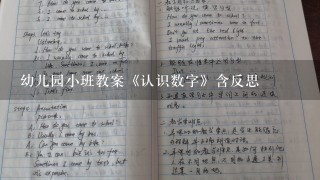 幼儿园小班教案《认识数字》含反思