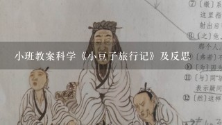 小班教案科学《小豆子旅行记》及反思