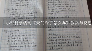 小班科学活动《天气冷了怎么办》教案与反思