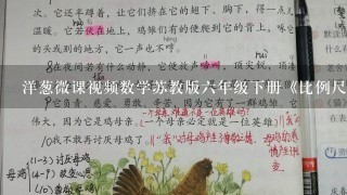 洋葱微课视频数学苏教版六年级下册《比例尺》的教学