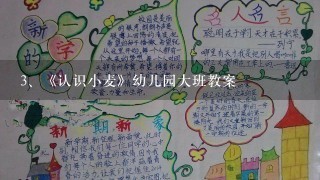 《认识小麦》幼儿园大班教案