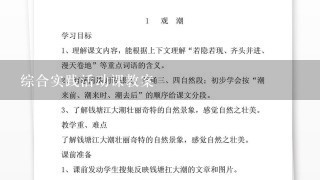 综合实践活动课教案