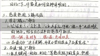 《发明飞机以前》大班教案？