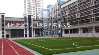 小班安全学会自我保护教案反思