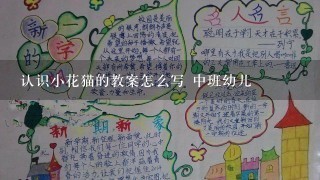 认识小花猫的教案怎么写 中班幼儿