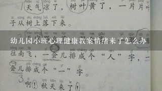 幼儿园小班心理健康教案情绪来了怎么办