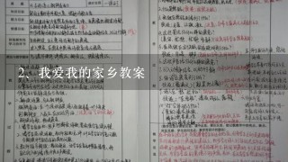 我爱我的家乡教案