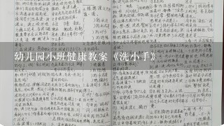 幼儿园小班健康教案《洗小手》