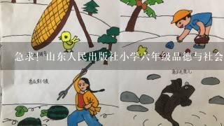 急求！山东人民出版社小学六年级品德与社会教案