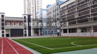 幼儿园小班健康教案：我的小手