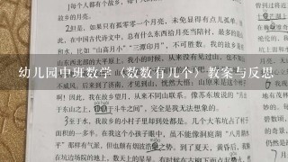 幼儿园中班数学〈数数有几个〉教案与反思