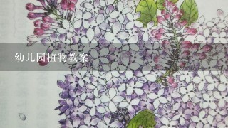 幼儿园植物教案