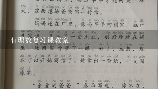 有理数复习课教案