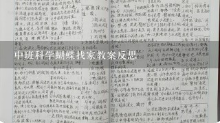 中班科学蝴蝶找家教案反思