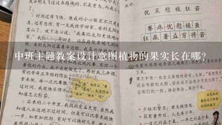 中班主题教案设计意图植物的果实长在哪？