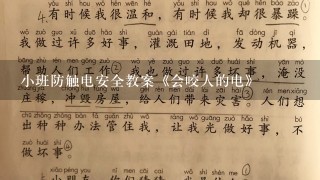 小班防触电安全教案《会咬人的电》