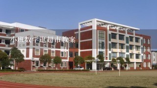 小班数学逛超市教案