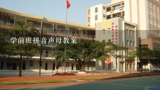 学前班拼音声母教案