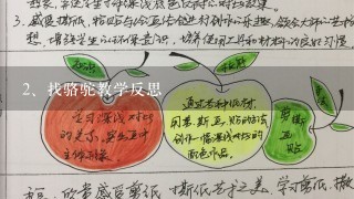 找骆驼教学反思