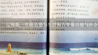 辽师版一年级品德与生活和六年级品德与社会教案